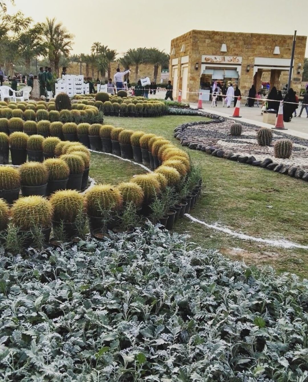 Screenshot_٢٠٢٥٠١٠١_١٣٢٥٢٨_Instagram_Original